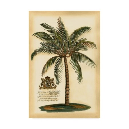 Vision Studio 'British Colonial Palm Iii' Canvas Art,16x24